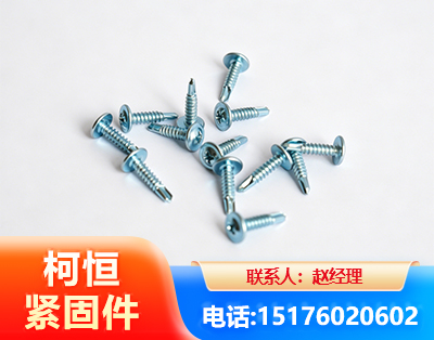 东营华司钻尾丝