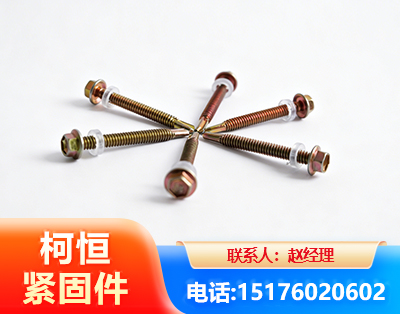 东营六角钻尾丝