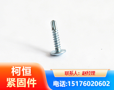 东营华司钻尾丝